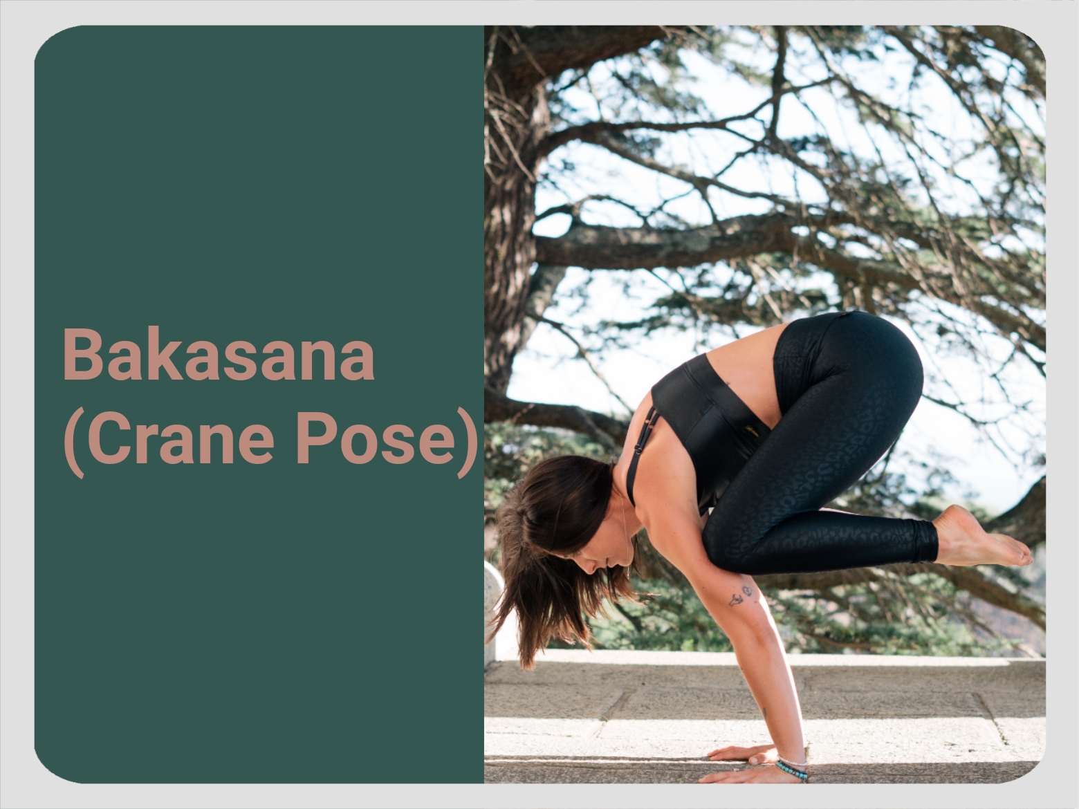 Learn Crane Pose (Bakasana)